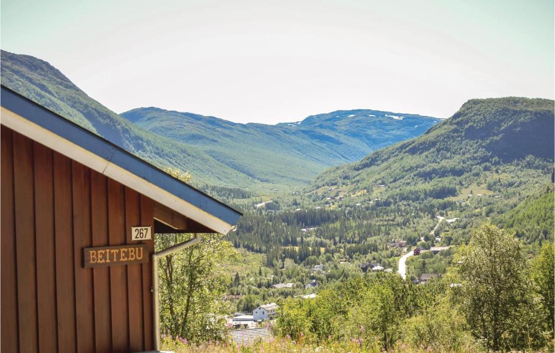 Photo of Others in Hemsedal