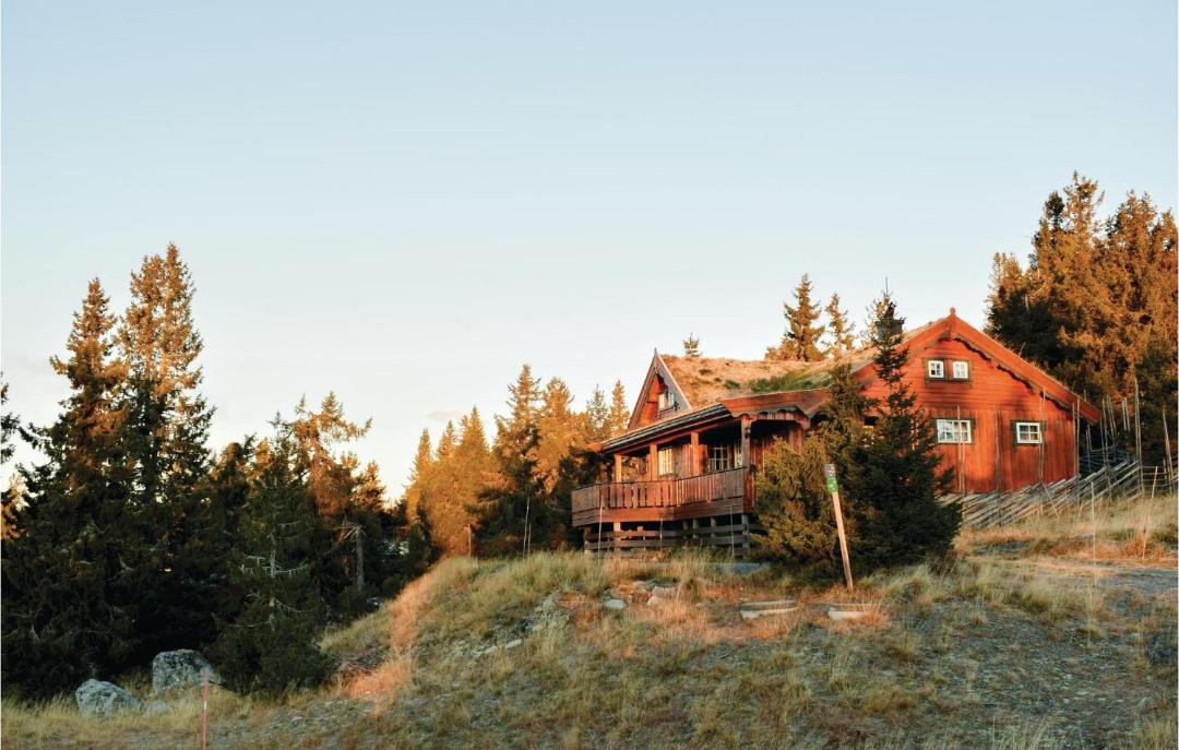 Photo of Others in Sjusjoen