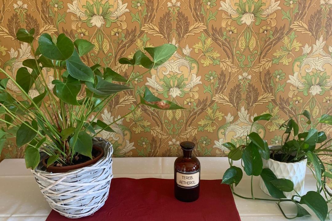 Photo of Others in Kerimaki