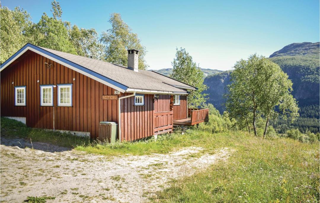 Photo of Others in Hemsedal