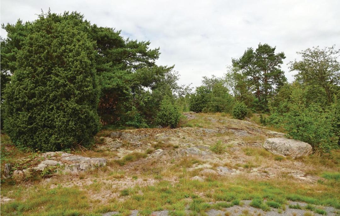Photo of Others in Ronneby