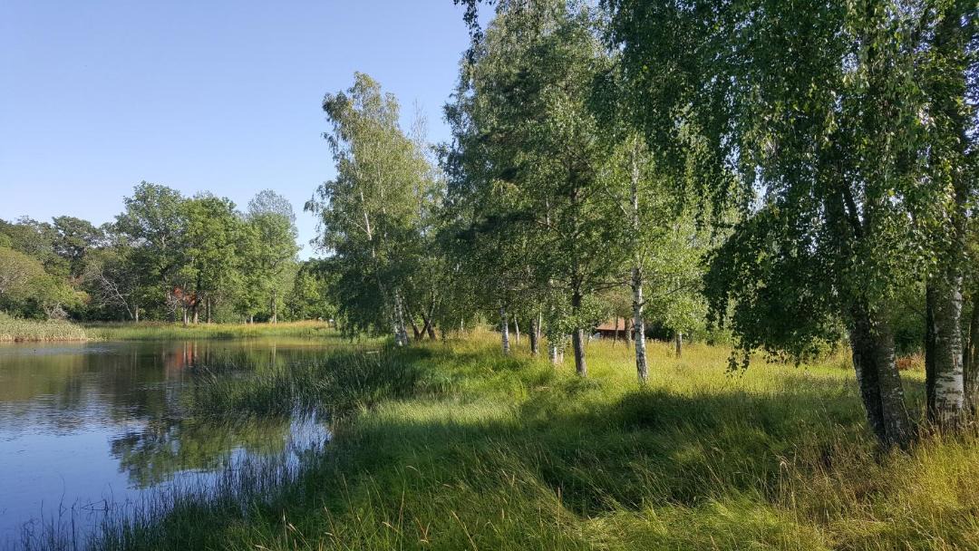 Photo of Outdoor in Knivsta