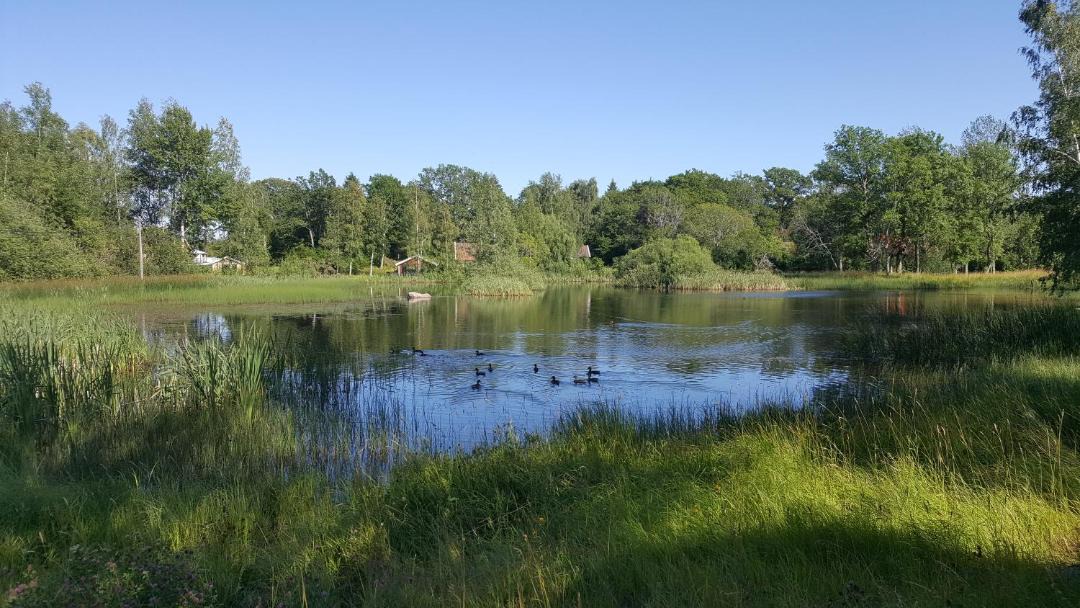 Photo of Outdoor in Knivsta