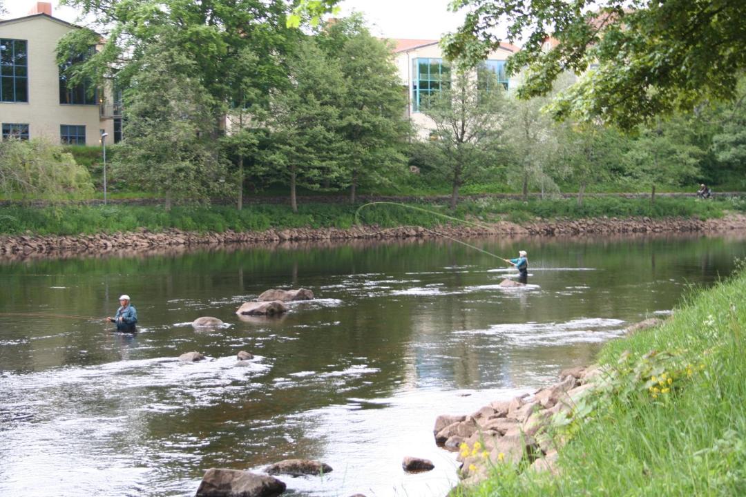 Photo of Others in Falkenberg