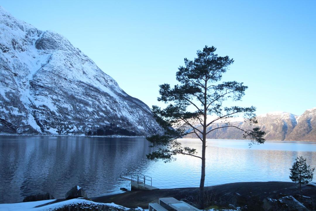 Photo of Others in Ovre Eidfjord