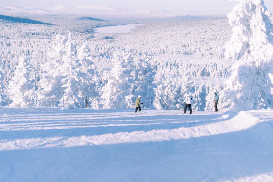 Photo of Others in Idrefjall