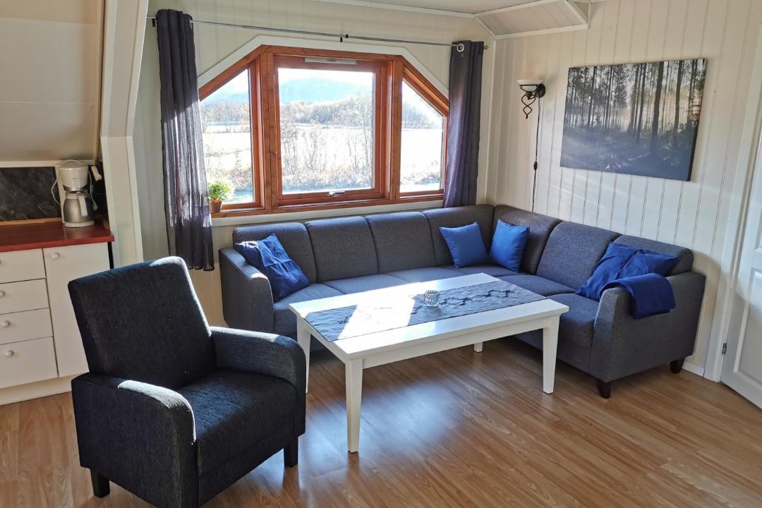 Photo of Livingroom in Meloy Municipality