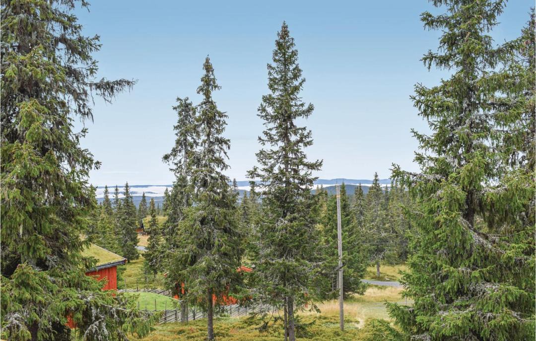 Photo of Others in Sjusjoen