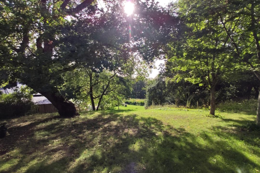 Photo of Others in Hasselby