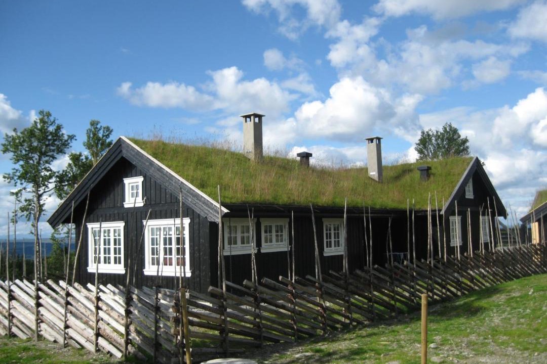 Photo of Others in Gol