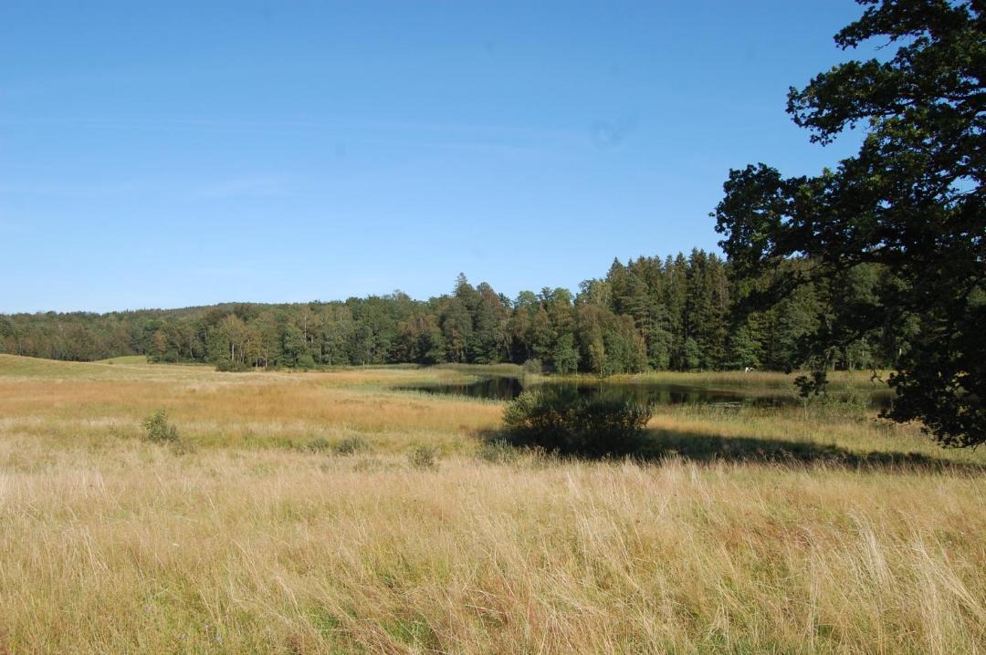 Photo of Others in Ullared