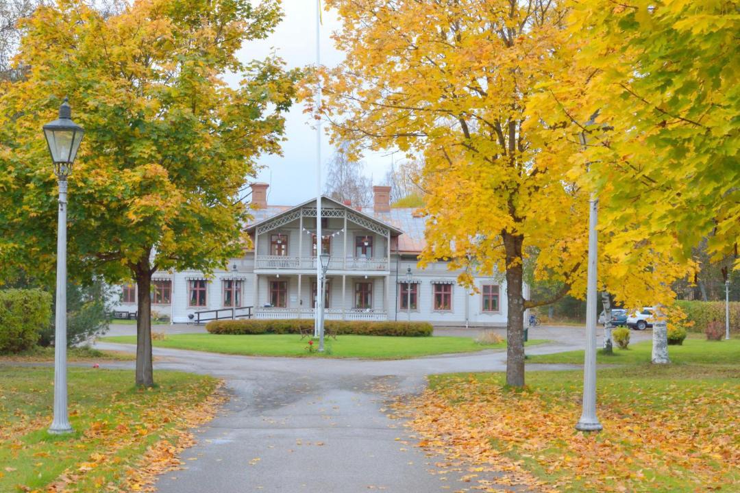 Photo of Others in Ljusdal