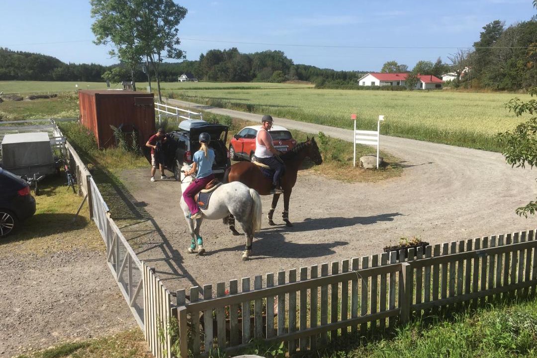 Photo of Others in Kungsbacka
