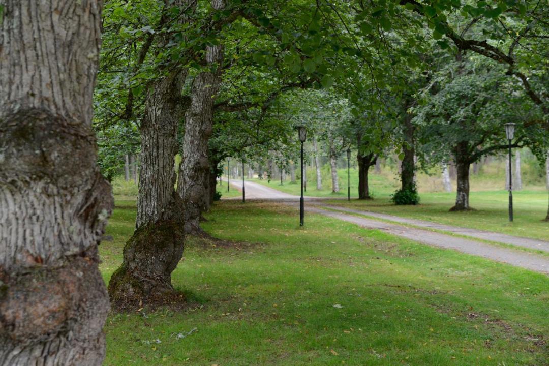 Photo of Others in Uddeholm