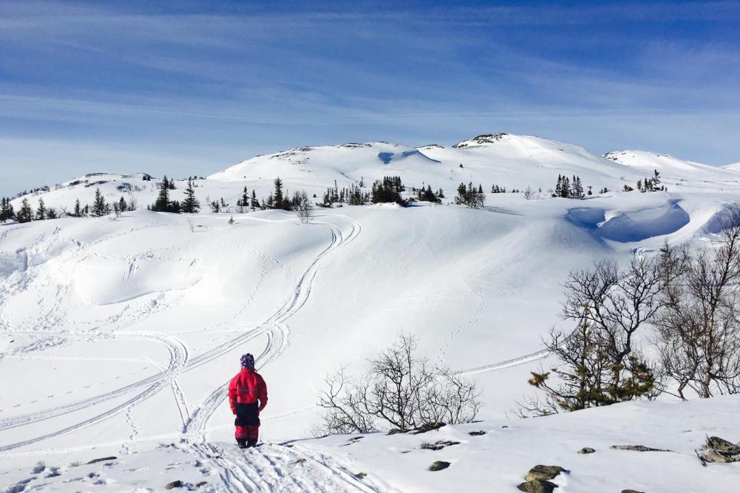 Photo of Others in Valadalen