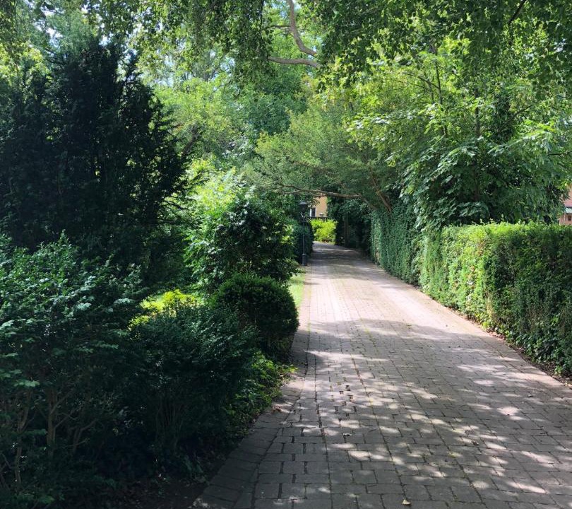 Photo of Others in Innerstaden