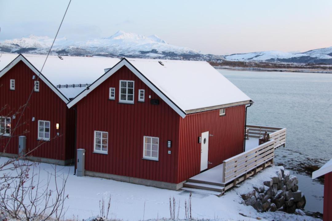 Photo of Others in Vestvagøy