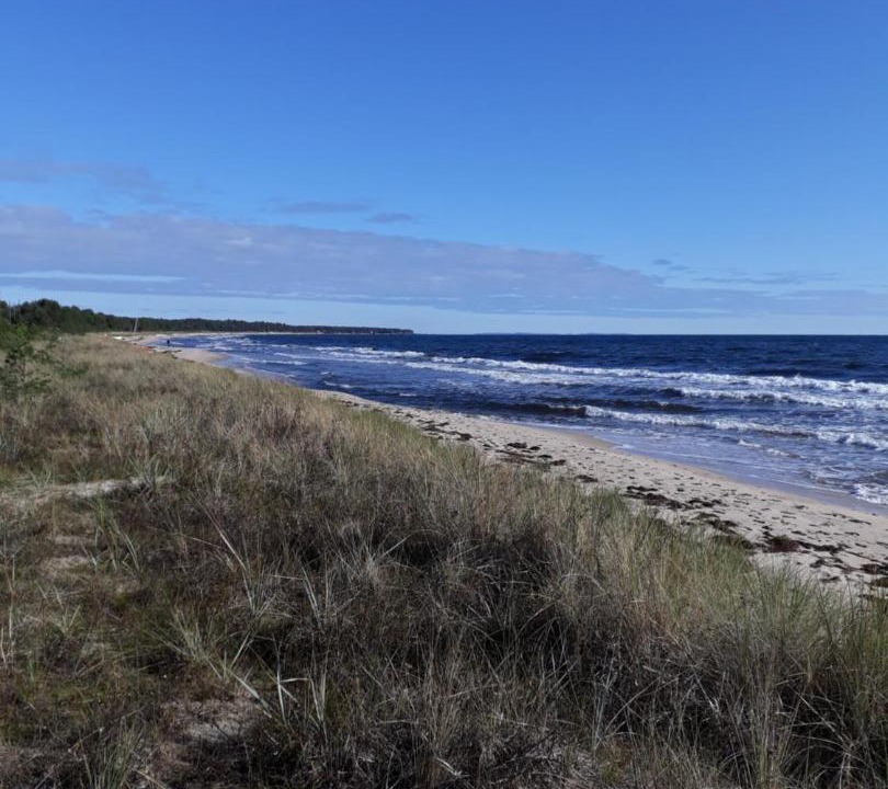 Photo of Outdoor in Yngsjo