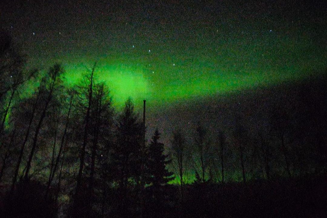Photo of Others in Rovaniemi