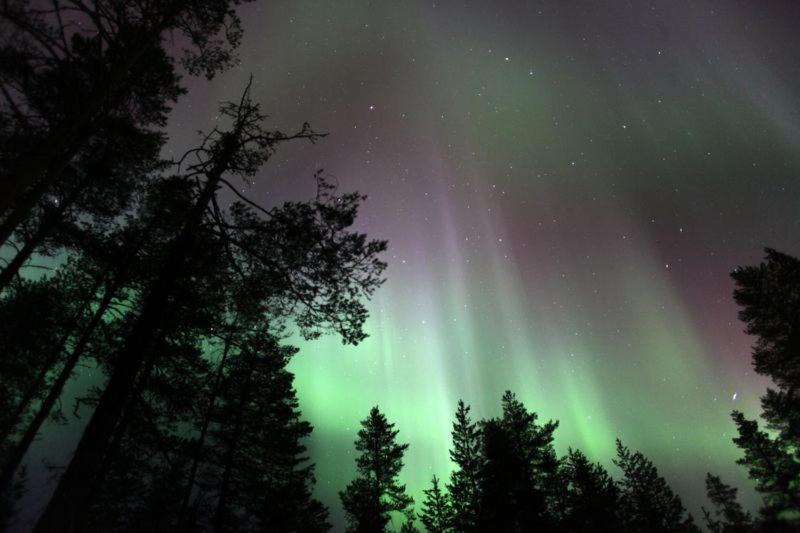 Photo of Others in Rovaniemi