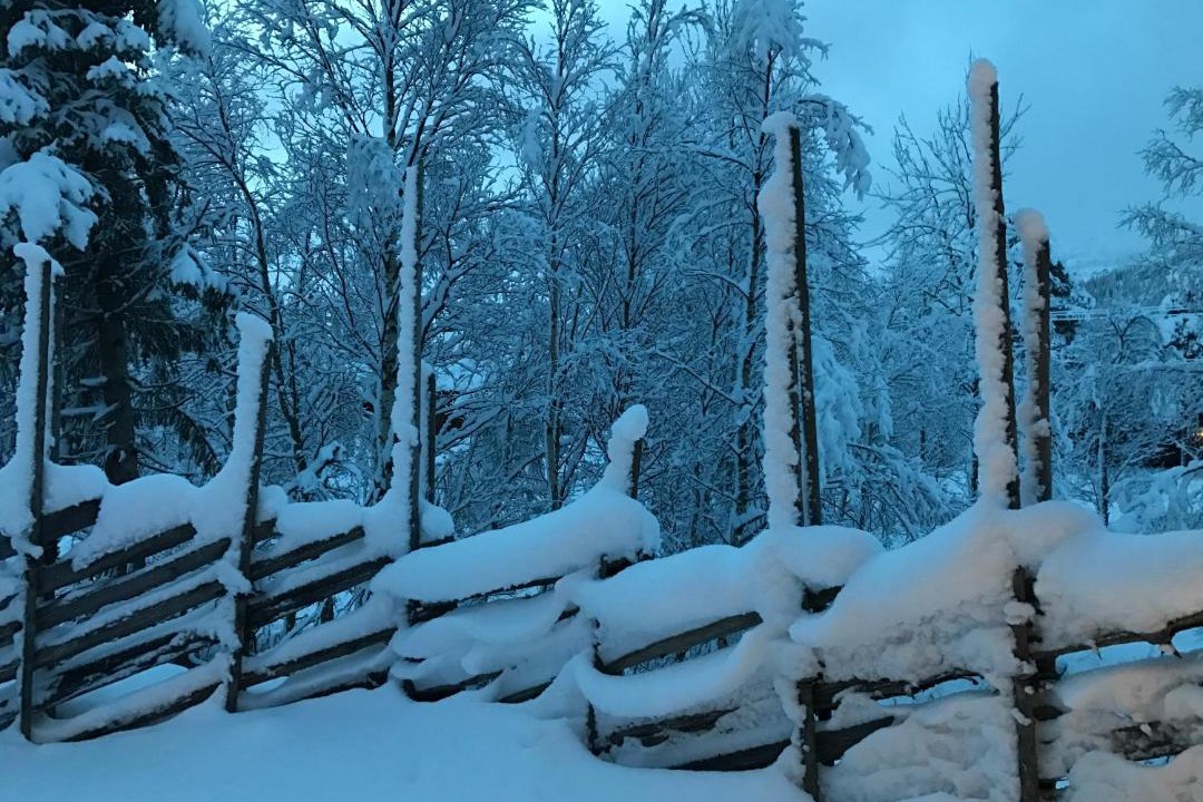 Photo of Others in Hemsedal