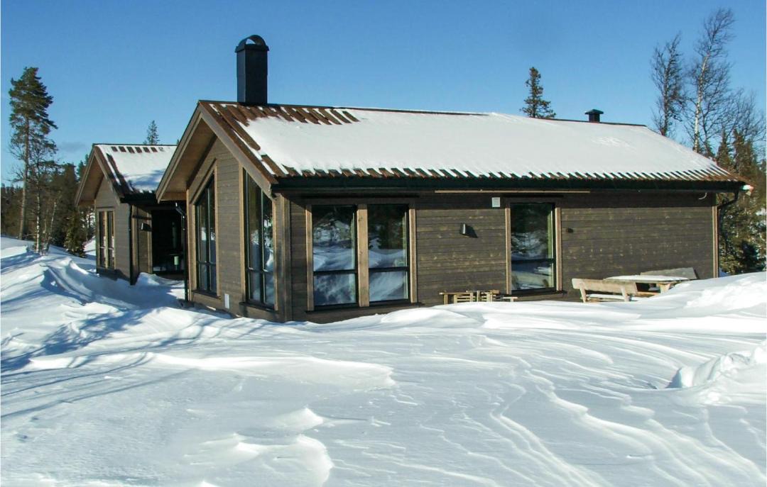 Photo of Others in Vikberget
