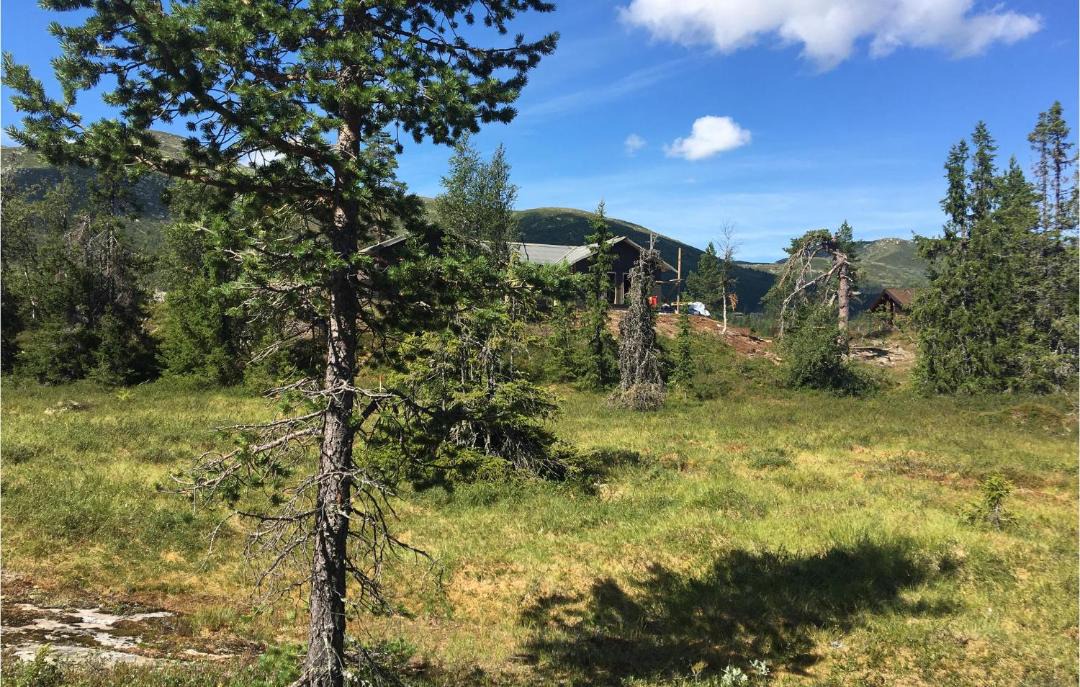 Photo of Others in Vikberget