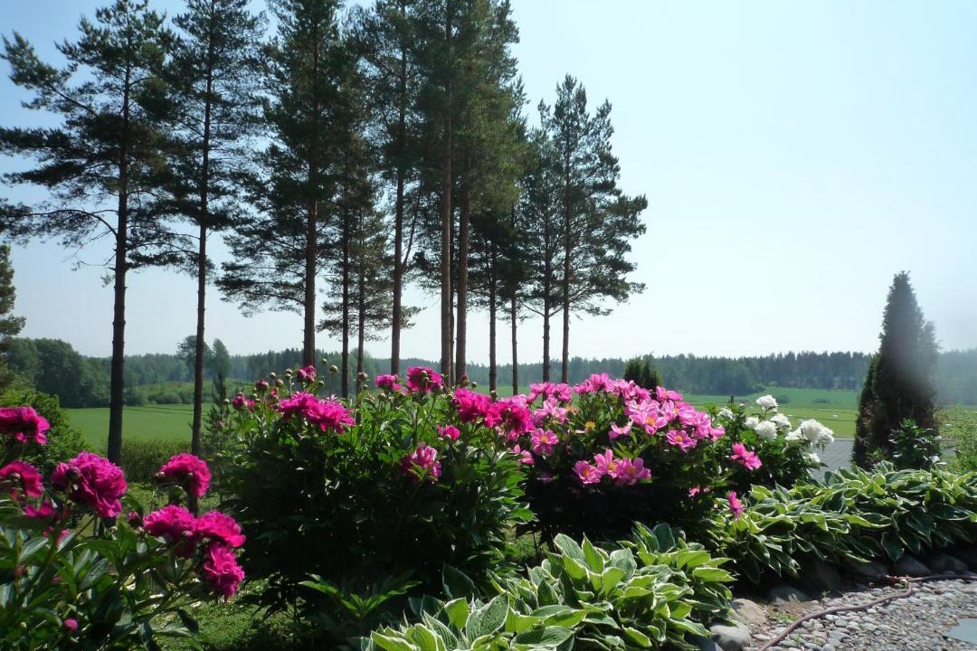 Photo of Others in Degerby