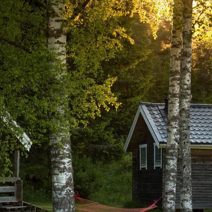 Photo of Others in Ulvohamn