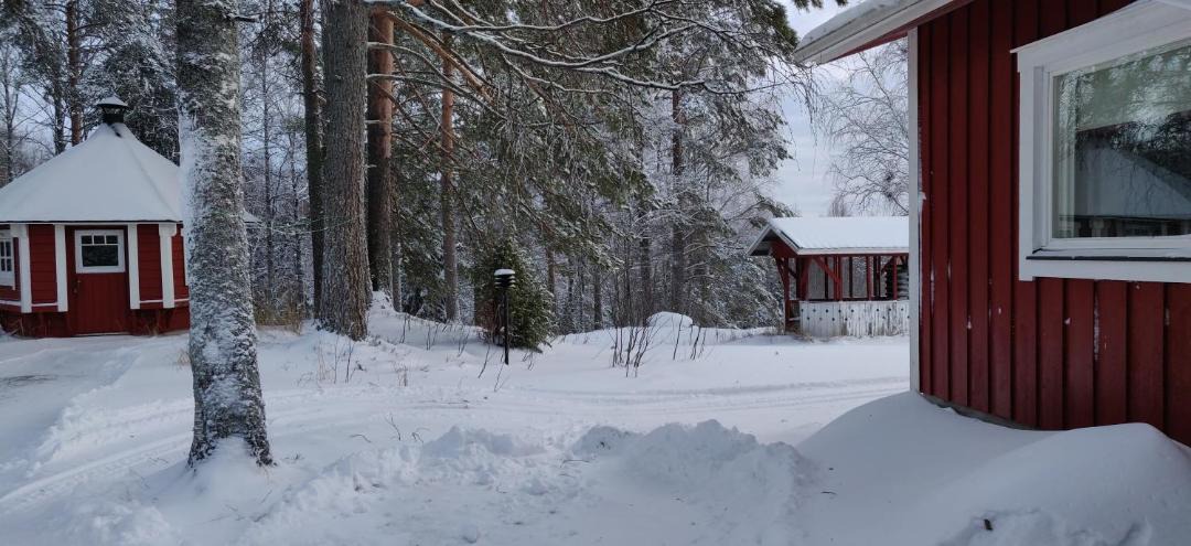 Photo of Others in Koli National Park