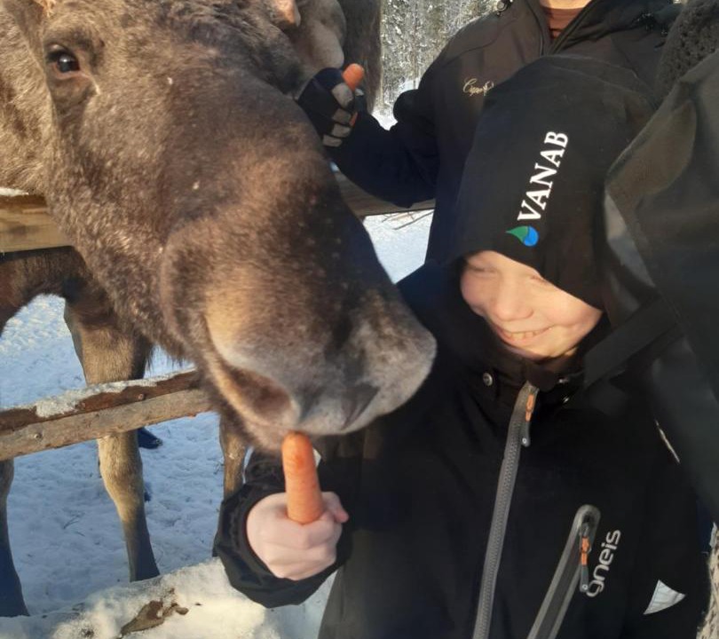 Photo of Others in Lulea