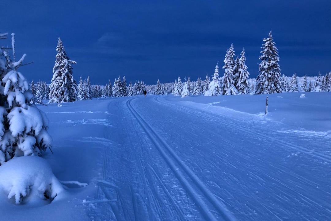 Photo of Others in Lillehammer