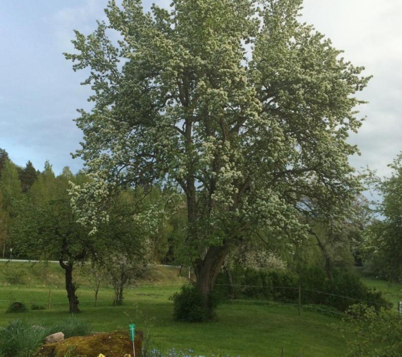Photo of Others in Kolmarden