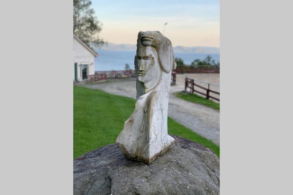 Photo of Others in Osoyro