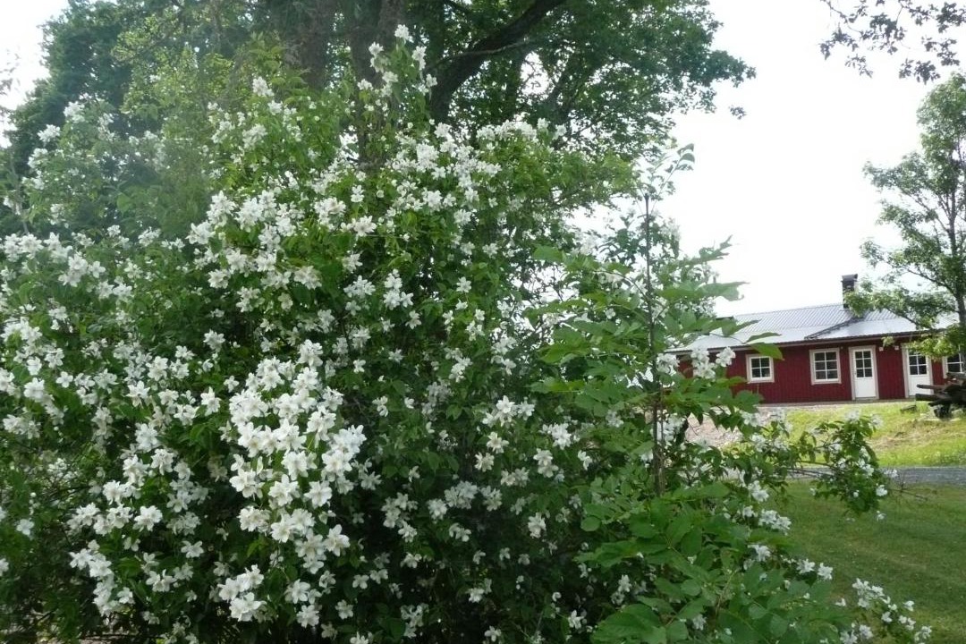Photo of Others in Lidkoping