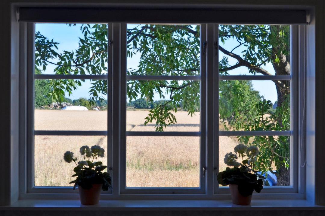 Photo of Others in Simrishamn