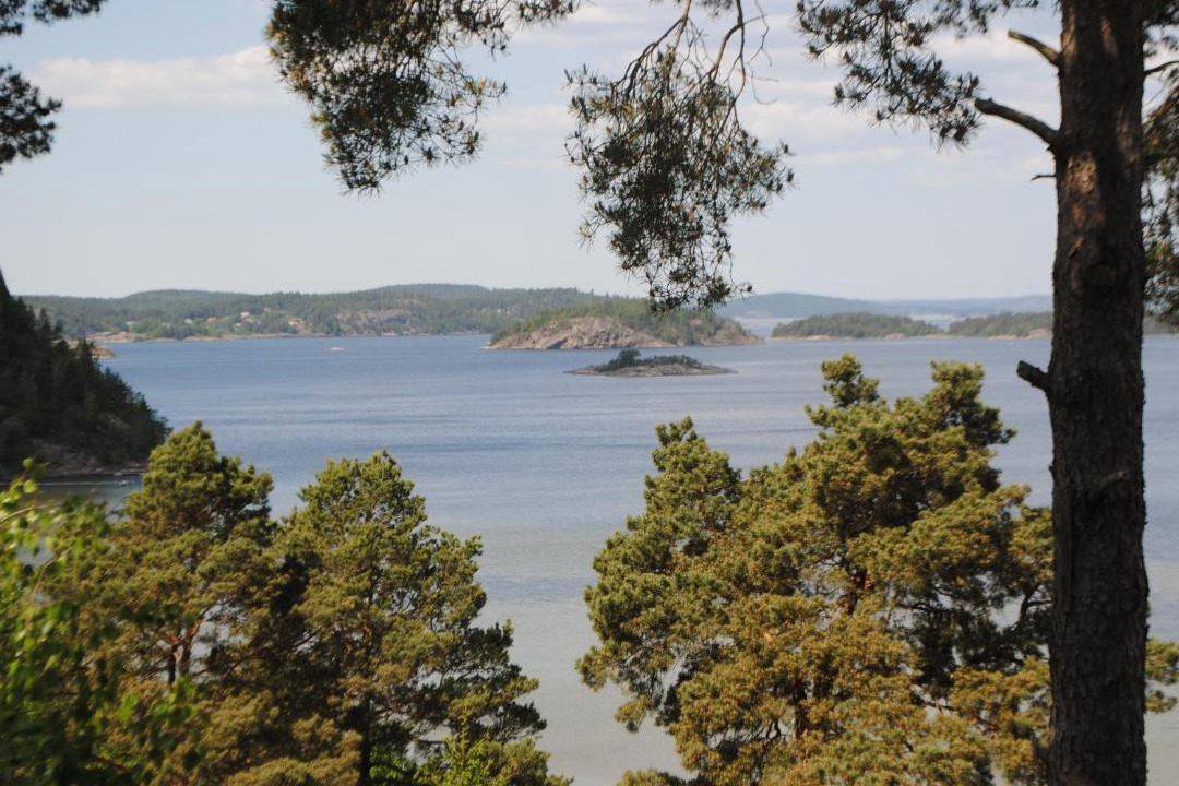 Photo of Others in Ljungskile
