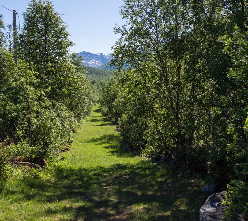 Photo of Others in Borgund