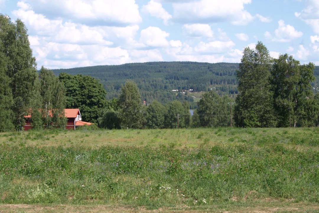 Photo of Others in Sunnemo