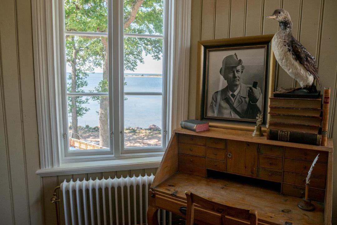 Photo of Others in Klintehamn