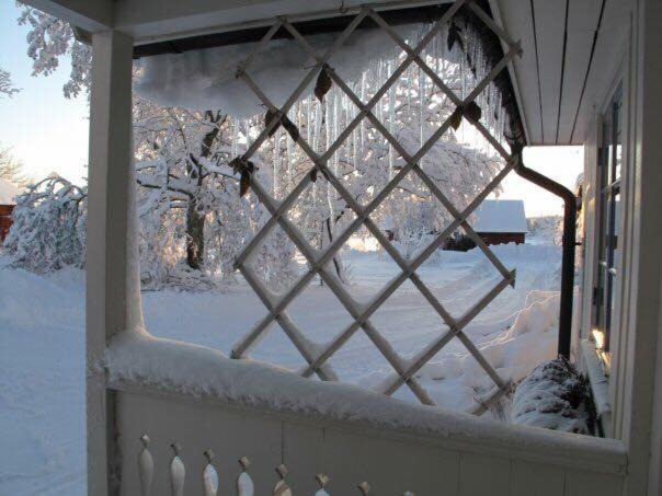 Photo of Patio Balcony in Tosse