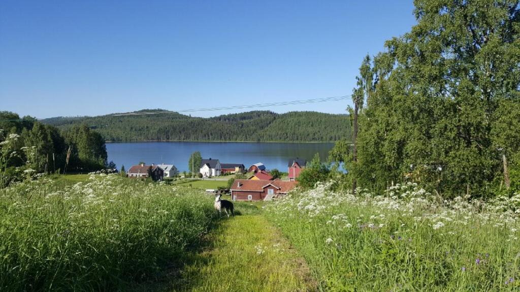 Photo of Outdoor in Kalarne