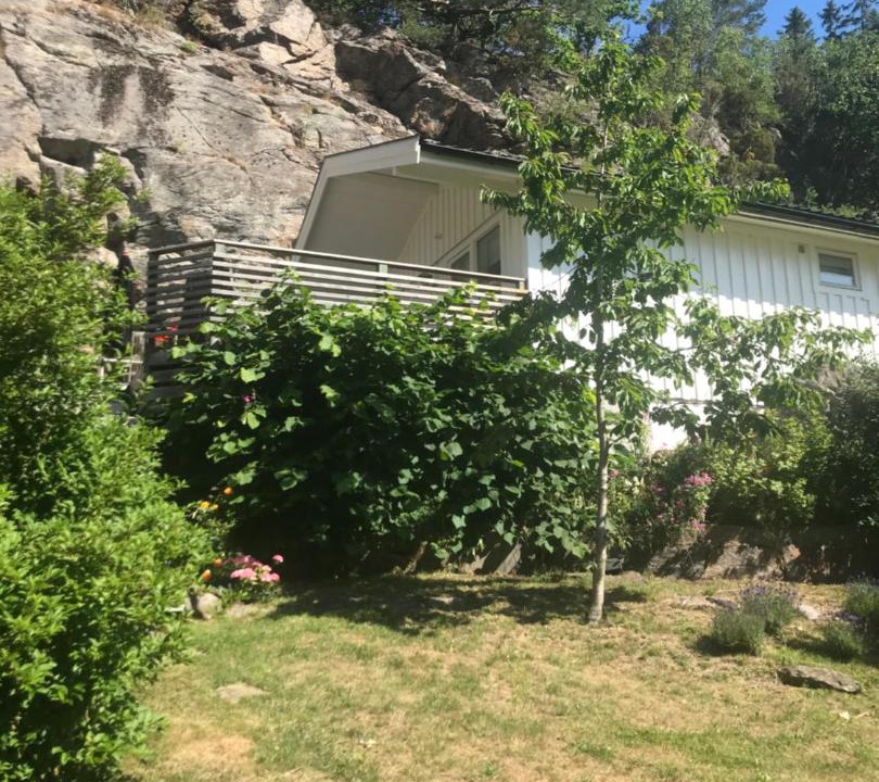 Photo of Others in Ljungskile