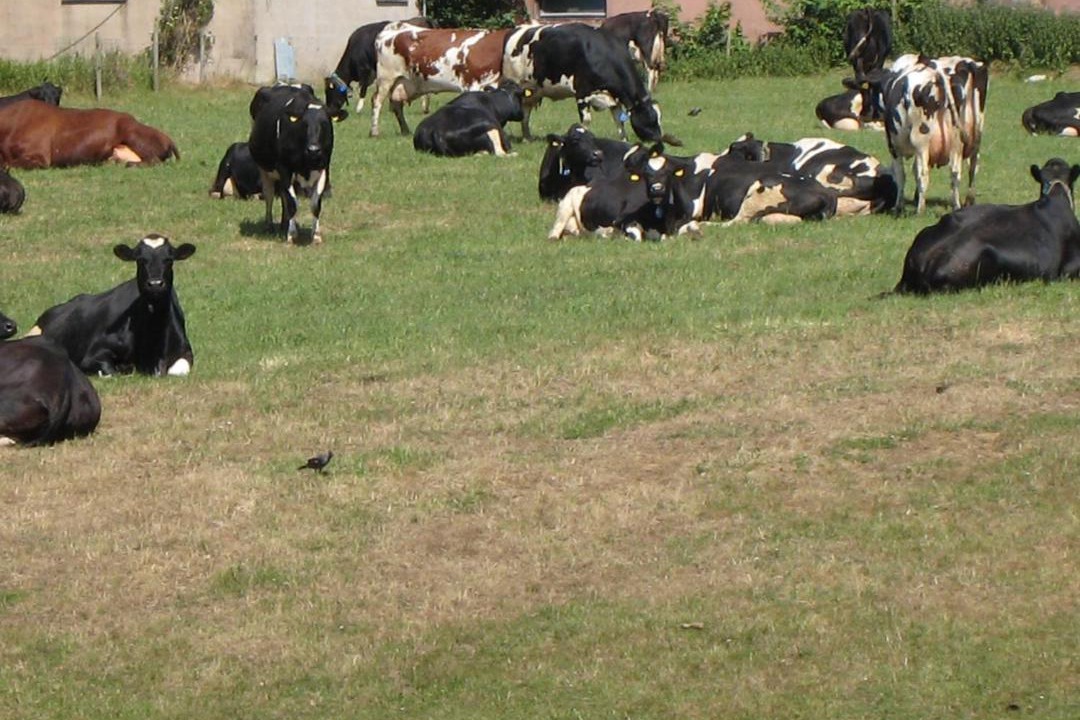 Photo of Others in Fegen