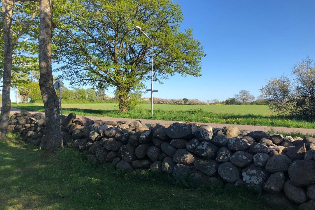 Photo of Others in Borgholm