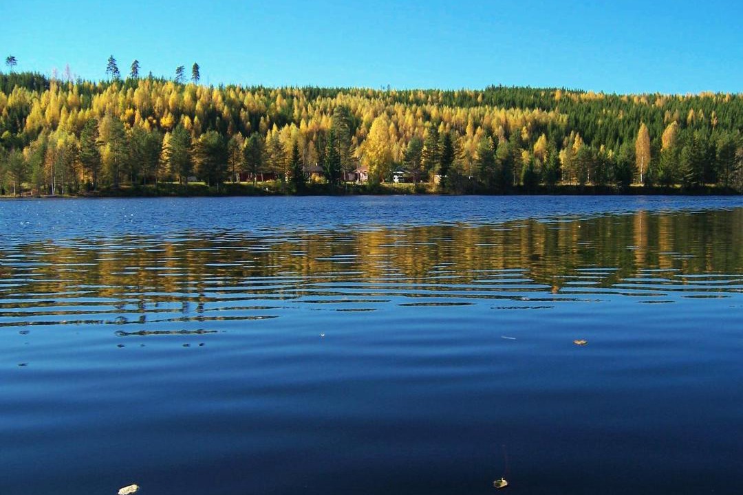 Photo of Others in Marbacken