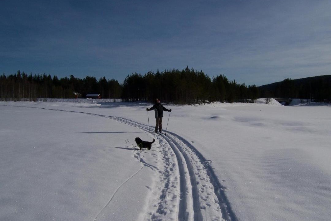 Photo of Others in Marbacken