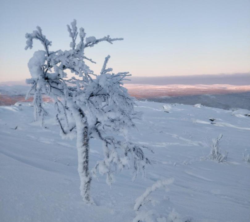 Photo of Others in Utsjoki