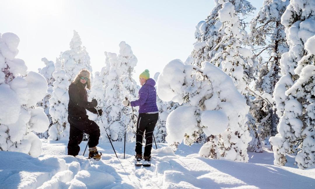 Photo of Others in Rovaniemi