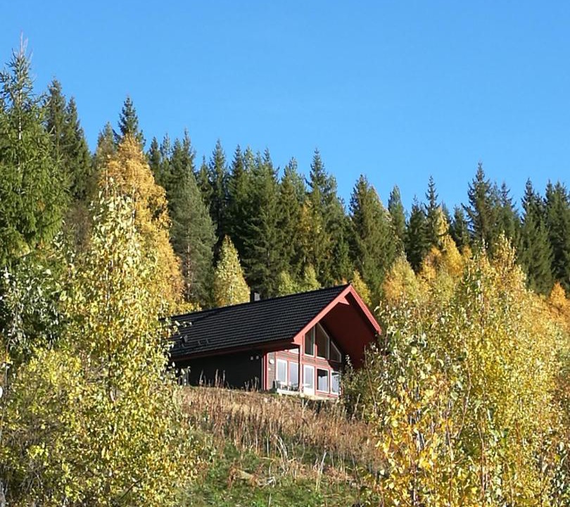 Photo of Buildings in Langav